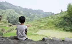 蒲岐是凉性的吗?蒲岐是什么水果