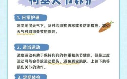 小型犬10斤狗粮能持续多久？合理分配狗粮的方法？