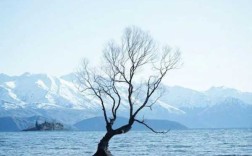 湿度计怎么看?湿度计10到100怎么看