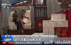 央视曝光“绿通车”骗局 货车用蔬菜掩护偷逃高速费超100万