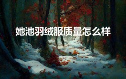 她池羽绒服质量怎么样？选购羽绒服的要点