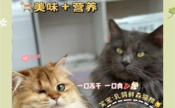 猫咪是否应该长期食用猫粮？长期吃猫粮的利弊是什么？