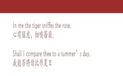 爱情英文个性签名大全,英文签名设计在线生成器
