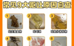 猫咪呕吐猫粮是什么原因？如何预防猫猫吃猫粮后呕吐？