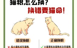 如何让猫咪重新接受猫粮？