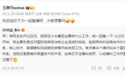 小米林斌回应目前工作：自己像半个律师加半个国际政府关系 以后爆料尽量交给王腾